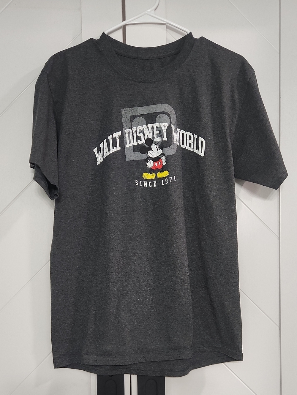 Hanes Tagless Logo Tee - Charcoal and Red